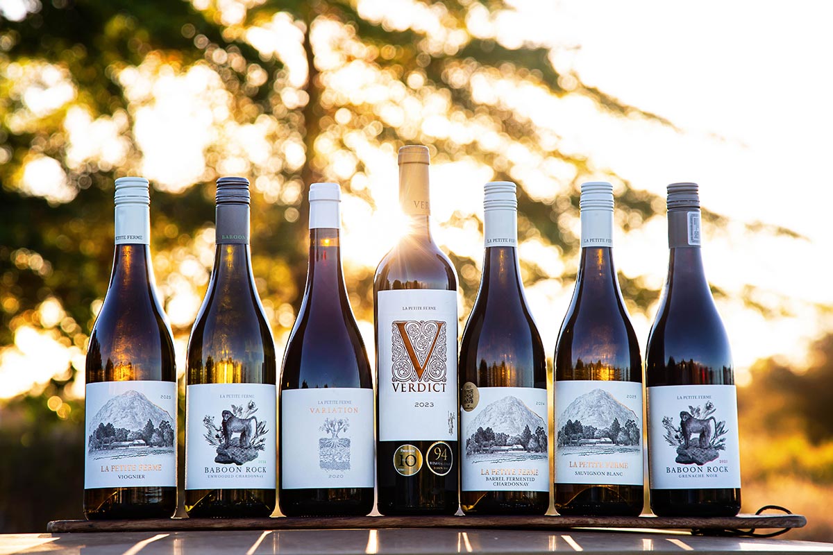 Seven wine bottles with labels in a row against a blurred natural background